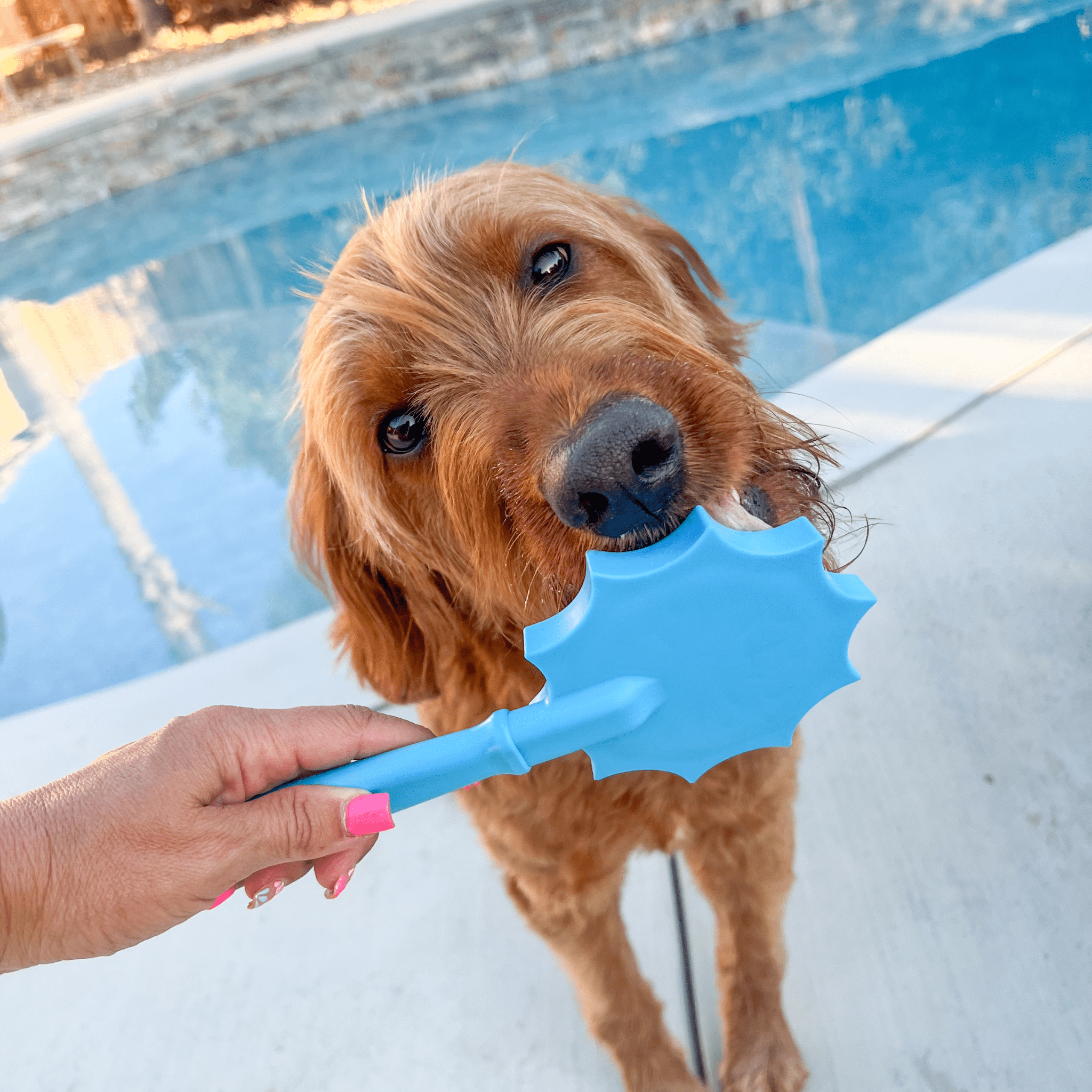 Lick Sticks | Interactive Dog Training Toy